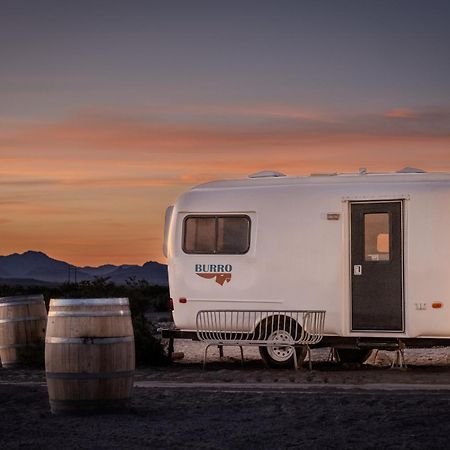 Tarantula Ranch Campground & Vineyard Near Death Valley National Park Amargosa Valley Buitenkant foto