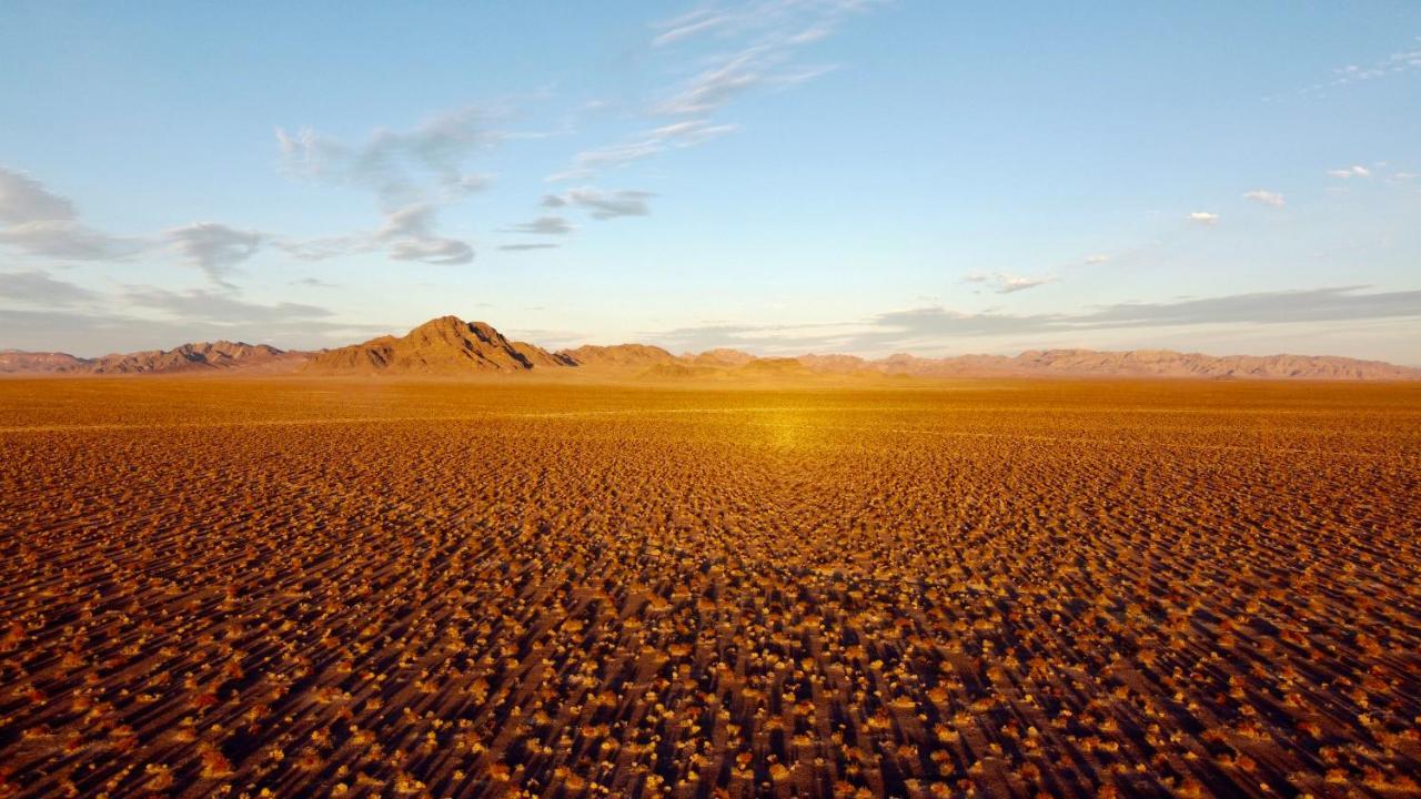 Tarantula Ranch Campground & Vineyard Near Death Valley National Park Amargosa Valley Buitenkant foto