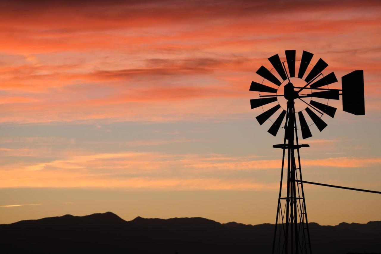 Tarantula Ranch Campground & Vineyard Near Death Valley National Park Amargosa Valley Buitenkant foto