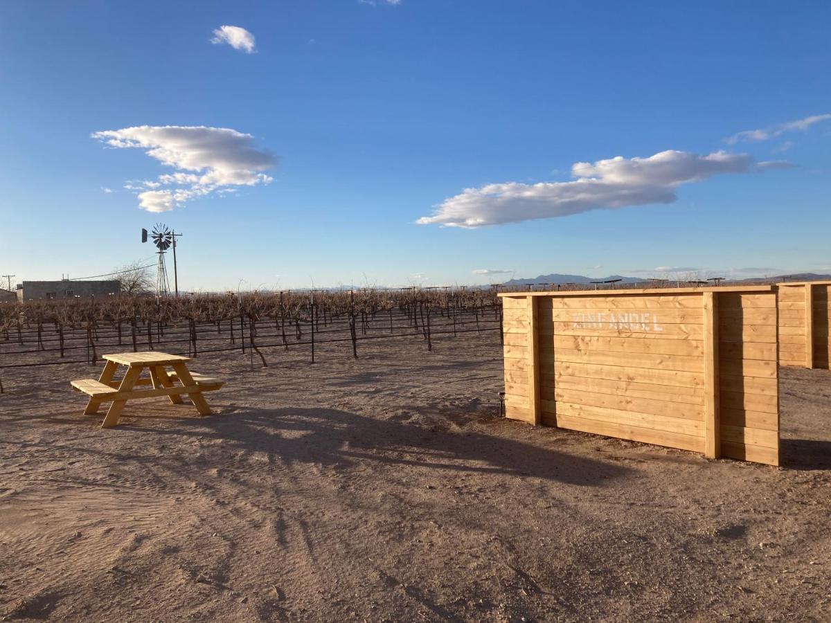 Tarantula Ranch Campground & Vineyard Near Death Valley National Park Amargosa Valley Buitenkant foto