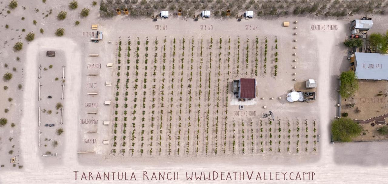 Tarantula Ranch Campground & Vineyard Near Death Valley National Park Amargosa Valley Buitenkant foto